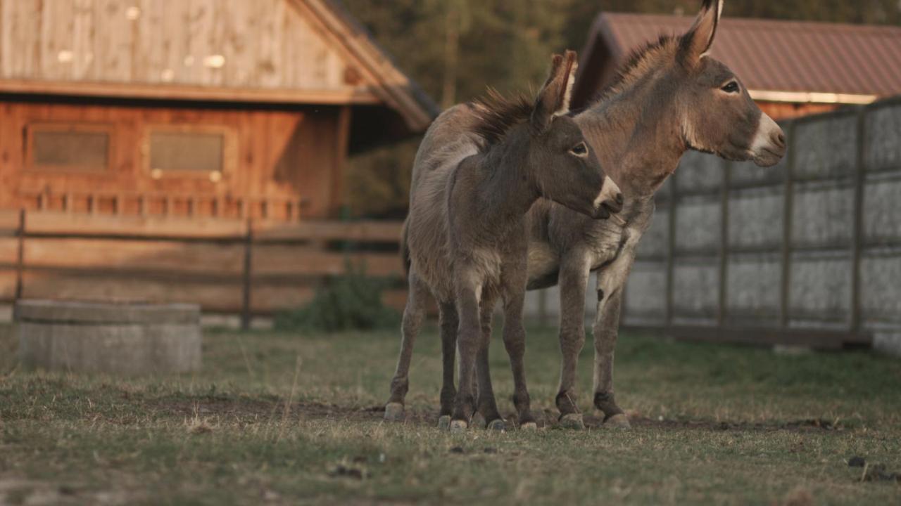 Tatarska Zagroda - Agroturystyka Dolina Baryczy Noclegi - Domek Danielek Krosnice Buitenkant foto